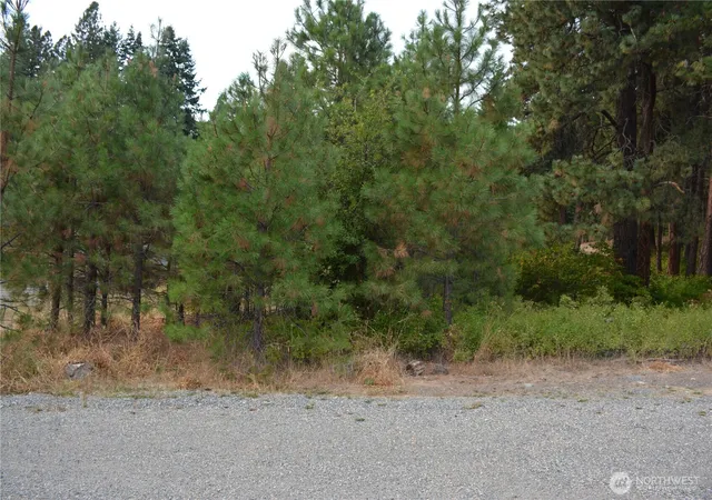 Photo 4 of Land for sale at 203 E Nevada Ave, Roslyn, WA 98941 | MLS# NWM2431521 | Listing updated on 2026-09-29