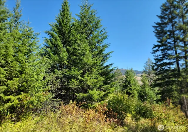Photo 4 of Land for sale at 9999 Lone Ranch Rd, Danville, WA 99121 | MLS# NWM2431557 | Listing updated on 2026-09-17