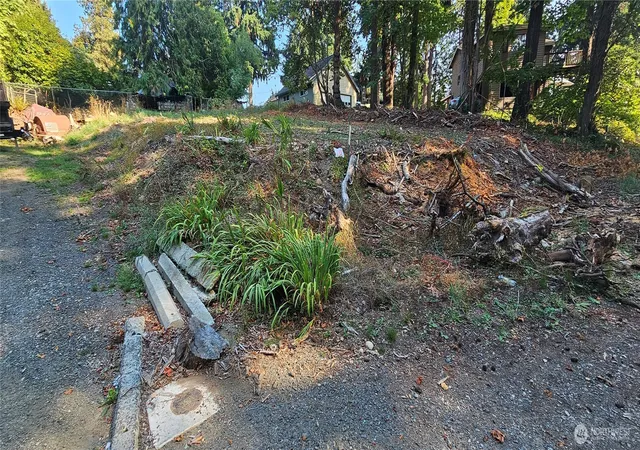 Photo 3 of Single family home for sale at 1124 Pear St NE, Olympia, WA 98506 | MLS# NWM2431858 | Listing updated on 2026-09-17