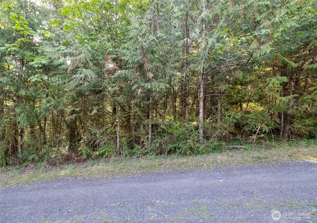Photo 3 of Land for sale at 0 E Sprague Ave, Union, WA 98592 | MLS# NWM2432096 | Listing updated on 2026-09-17