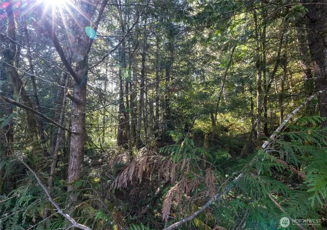 Photo 4 of Land for sale at 0 E Sprague Ave, Union, WA 98592 | MLS# NWM2432096 | Listing updated on 2026-09-17