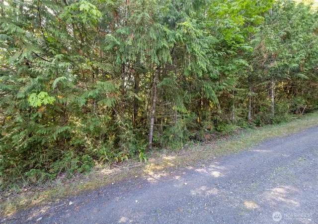 Photo 4 of Land for sale at 0 E Mason Ave, Union, WA 98592 | MLS# NWM2432126 | Listing updated on 2026-09-17