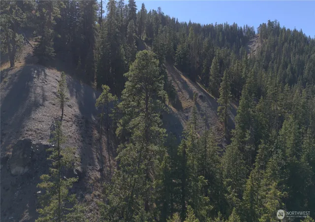 Photo 4 of Land for sale at 0 Old Blewett Pass Hwy, Peshastin, WA 98847 | MLS# NWM2432411 | Listing updated on 2026-09-17