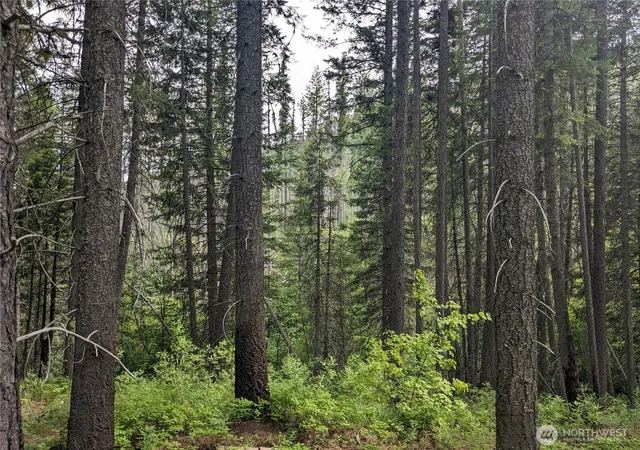 Photo 2 of Land for sale at 0 Tbd Bia Rd #56, Nespelem, WA 99155 | MLS# NWM2432630 | Listing updated on 2026-09-17