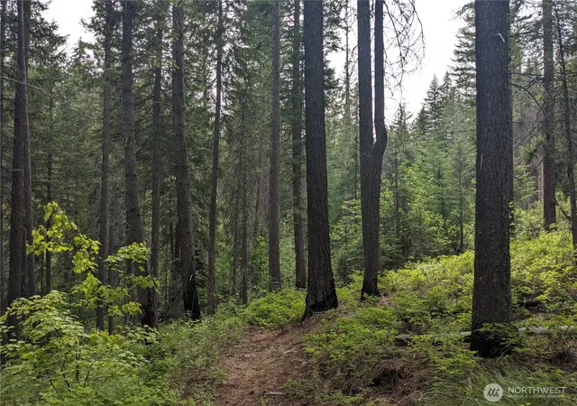 Photo 3 of Land for sale at 0 Tbd Bia Rd #56, Nespelem, WA 99155 | MLS# NWM2432630 | Listing updated on 2026-09-17
