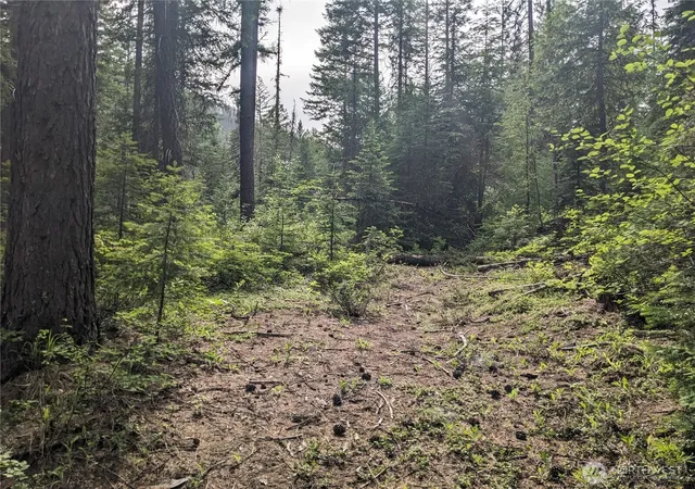 Photo 4 of Land for sale at 0 Tbd Bia Rd #56, Nespelem, WA 99155 | MLS# NWM2432630 | Listing updated on 2026-09-17