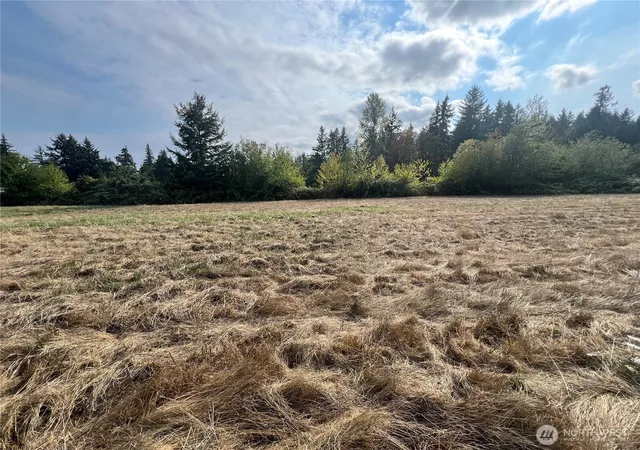 Photo 3 of Land for sale at 2943 Xx Hwy 101, Quilcene, WA 98376 | MLS# NWM2433320 | Listing updated on 2026-09-17