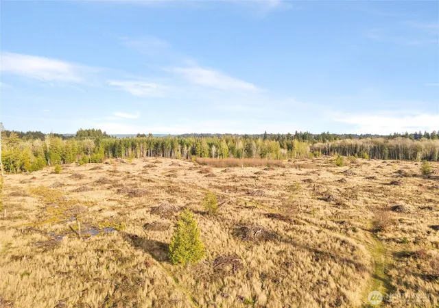 Photo 4 of Land for sale at 0 Xx Gravelly Beach Loop NW, Olympia, WA 98502 | MLS# NWM2433602 | Listing updated on 2026-09-17