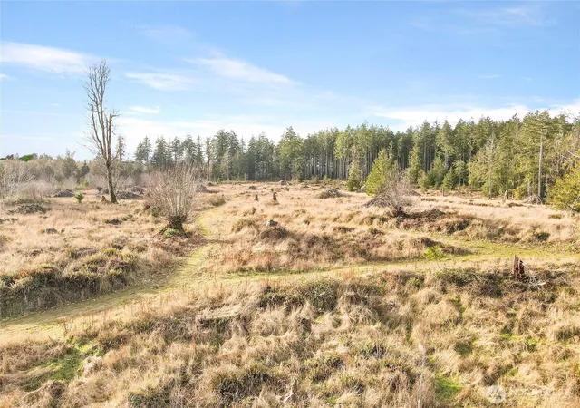 Photo 3 of Land for sale at 0 X Gravelly Beach Loop NW, Olympia, WA 98502 | MLS# NWM2433603 | Listing updated on 2026-09-17