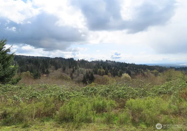 Photo 3 of Land for sale at 903 Confer Rd, Kalama, WA 98625 | MLS# NWM2433686 | Listing updated on 2026-09-17