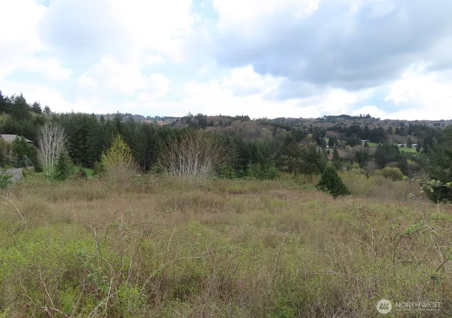 Photo 4 of Land for sale at 903 Confer Rd, Kalama, WA 98625 | MLS# NWM2433686 | Listing updated on 2026-09-17