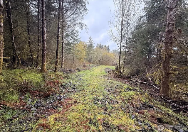 Photo 1 of Land for sale at 0 Bunker Crk Rd, Adna, WA 98522 | MLS# NWM2433960 | Listing updated on 2026-09-17