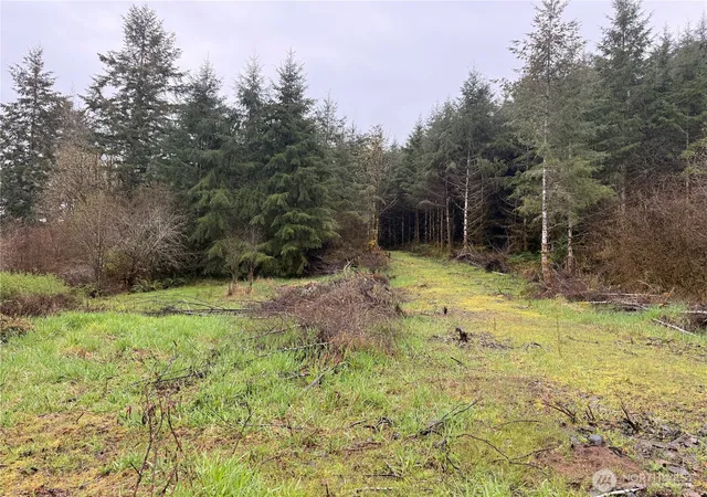 Photo 3 of Land for sale at 0 Bunker Crk Rd, Adna, WA 98522 | MLS# NWM2433960 | Listing updated on 2026-09-17