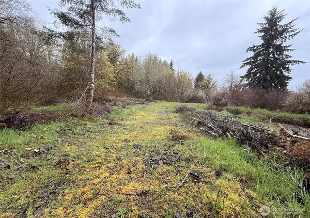 Photo 3 of Land for sale at 0 Bunker Crk Rd, Adna, WA 98522 | MLS# NWM2433960 | Listing updated on 2026-09-17