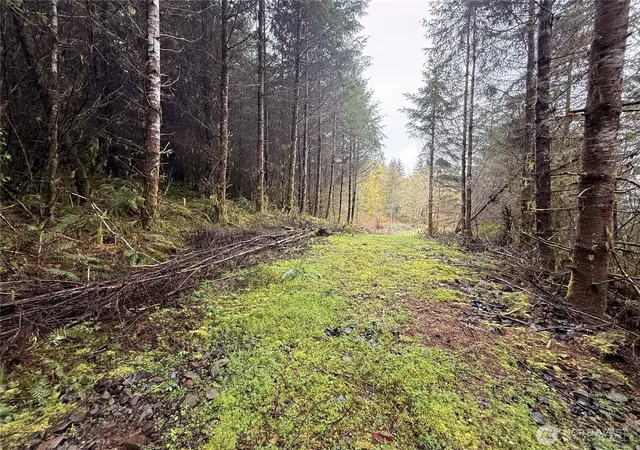 Photo 4 of Land for sale at 0 Bunker Crk Rd, Adna, WA 98522 | MLS# NWM2433960 | Listing updated on 2026-09-17
