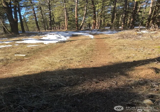 Photo 4 of Land for sale at 0 Xxx Unknown, Cle Elum, WA 98922 | MLS# NWM2435063 | Listing updated on 2026-09-16