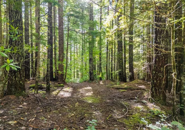 Photo 4 of Land for sale at 1350 N Hilltop Loop Rd, Hoodsport, WA 98548 | MLS# NWM2435116 | Listing updated on 2026-09-17