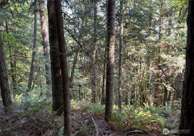 Photo 4 of Land for sale at 0 Nka Spirit Lake Hwy, Toutle, WA 98649 | MLS# NWM2435305 | Listing updated on 2026-09-17