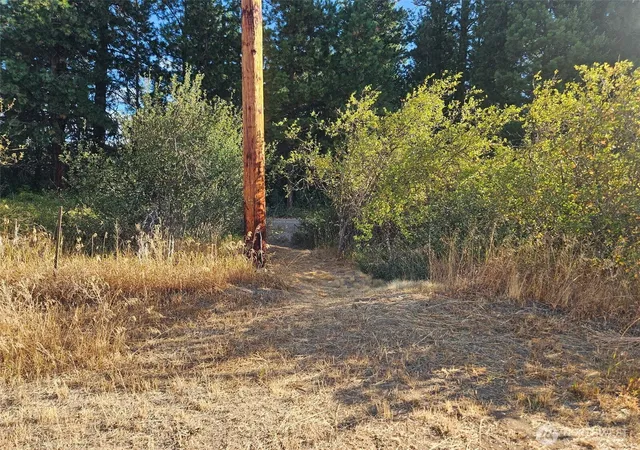 Photo 2 of Land for sale at 1 Lot Little Crk Rd, Cle Elum, WA 98922 | MLS# NWM2435849 | Listing updated on 2026-09-17