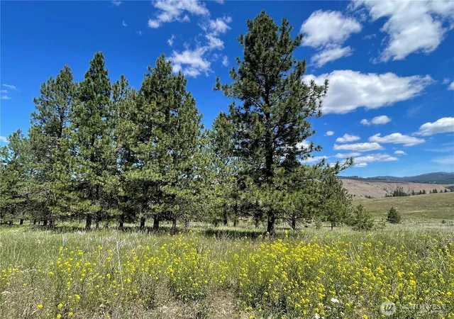 Photo 2 of Land for sale at 0 A Chopaka Way, Tonasket, WA 98855 | MLS# NWM2436690 | Listing updated on 2026-09-17