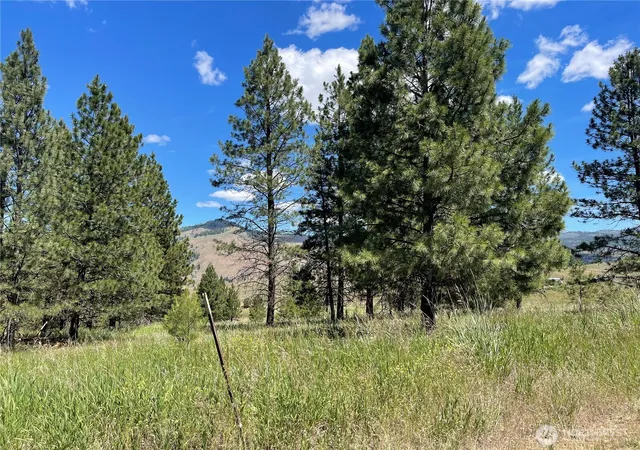 Photo 3 of Land for sale at 0 A Chopaka Way, Tonasket, WA 98855 | MLS# NWM2436690 | Listing updated on 2026-09-17
