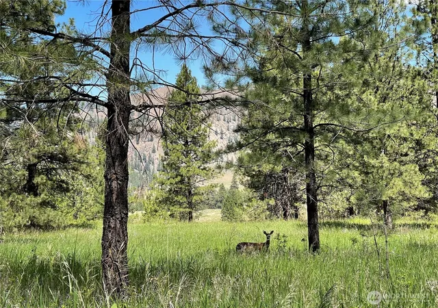 Photo 3 of Land for sale at 0 A Chopaka Way, Tonasket, WA 98855 | MLS# NWM2436690 | Listing updated on 2026-09-17