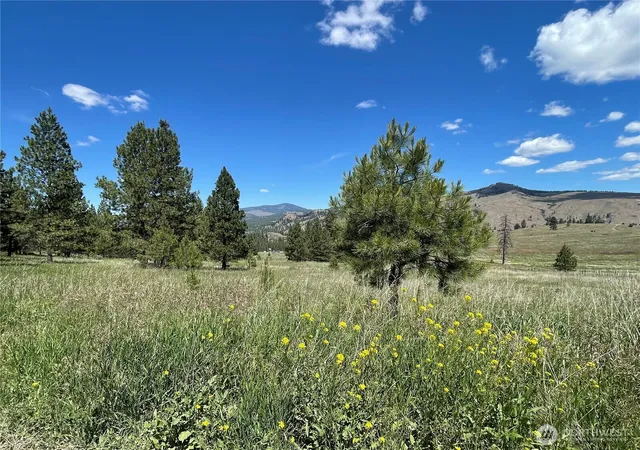 Photo 3 of Land for sale at 0 B Chopaka Way, Tonasket, WA 98855 | MLS# NWM2436698 | Listing updated on 2026-09-17