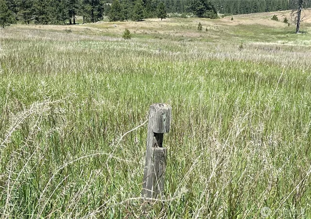 Photo 3 of Land for sale at 0 B Chopaka Way, Tonasket, WA 98855 | MLS# NWM2436698 | Listing updated on 2026-09-17