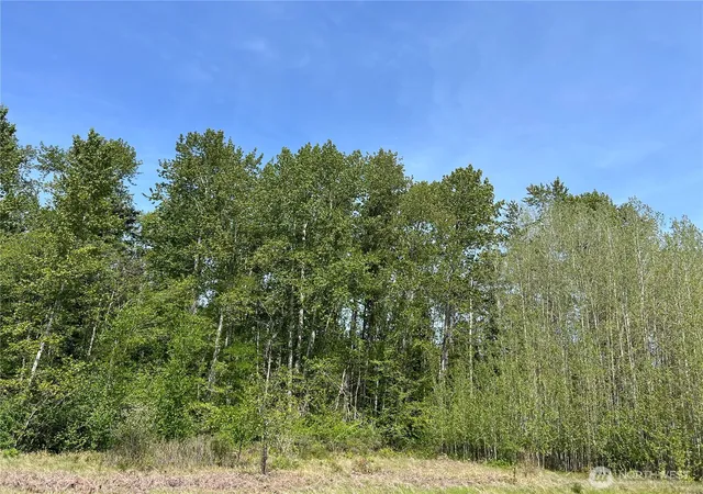 Photo 3 of Land for sale at 50 Acres Lincoln And Shintaffer Rd, Blaine, WA 98230 | MLS# NWM2436912 | Listing updated on 2026-10-09