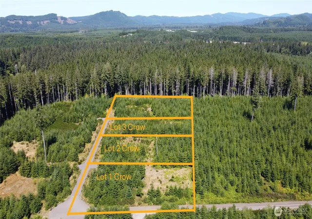Photo 2 of Sale Pending at 9999 King Johns Lot 3 Crow Way, Forks, WA 98331 | MLS# NWM2436950 | Listing updated on 2026-09-23