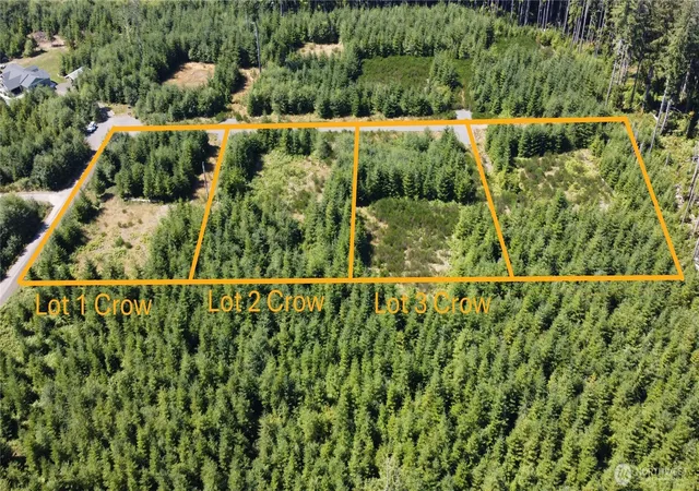Photo 3 of Sale Pending at 9999 King Johns Lot 3 Crow Way, Forks, WA 98331 | MLS# NWM2436950 | Listing updated on 2026-09-23