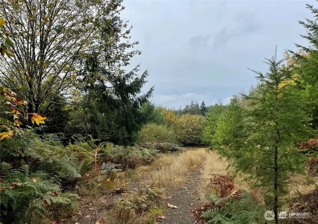 Land for sale at 30 Acres Glenwood Rd SW, Port Orchard, WA 98367 | MLS# NWM2437409