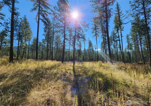 Photo 1 of Single family home for sale at 0 Sleepy Holw Rd, Curlew, WA 99118 | MLS# NWM2437500 | Listing updated on 2026-09-17