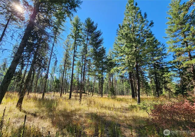 Photo 2 of Single family home for sale at 0 Sleepy Holw Rd, Curlew, WA 99118 | MLS# NWM2437500 | Listing updated on 2026-09-17