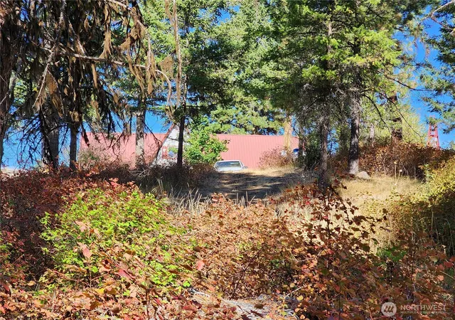 Photo 3 of Single family home for sale at 0 Sleepy Holw Rd, Curlew, WA 99118 | MLS# NWM2437500 | Listing updated on 2026-09-17
