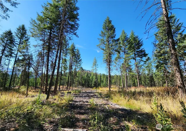 Photo 4 of Single family home for sale at 0 Sleepy Holw Rd, Curlew, WA 99118 | MLS# NWM2437500 | Listing updated on 2026-09-17