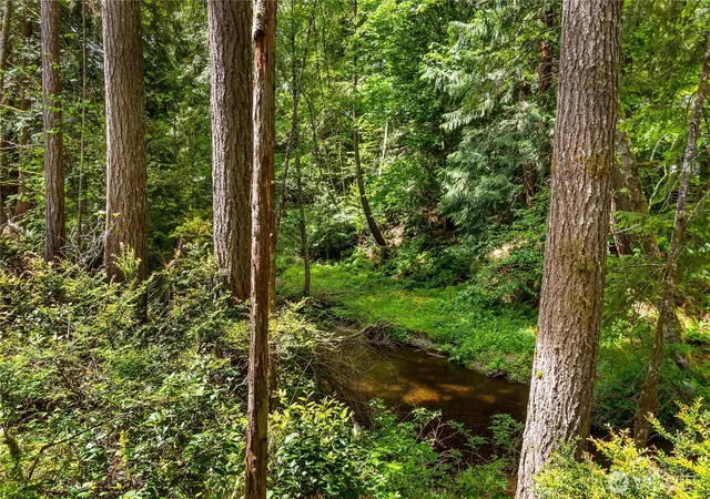 Photo 3 of Land for sale at 0 E Olde Lyme Rd, Shelton, WA 98584 | MLS# NWM2437524 | Listing updated on 2026-09-17