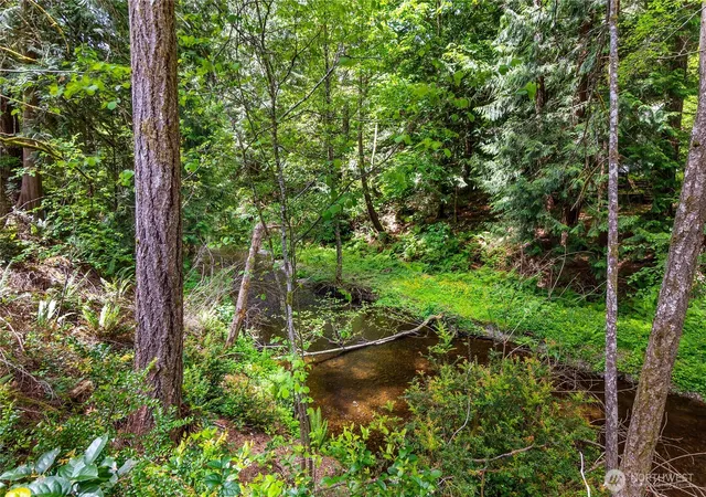 Photo 4 of Land for sale at 0 E Olde Lyme Rd, Shelton, WA 98584 | MLS# NWM2437524 | Listing updated on 2026-09-17