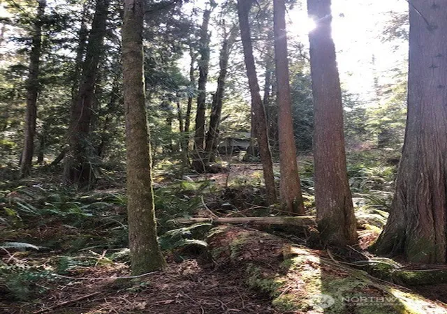 Photo 2 of Land for sale at 24108 Ne 22ndstreet, Sammamish, WA 98074 | MLS# NWM2437689 | Listing updated on 2026-09-17