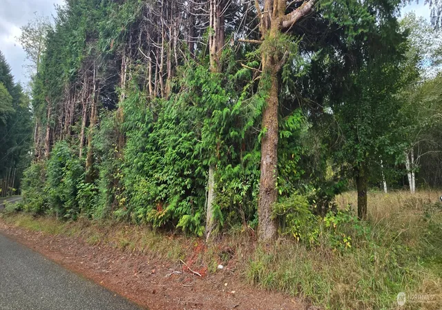 Photo 3 of Land for sale at 1351 Satsop Rd W, Montesano, WA 98563 | MLS# NWM2439752 | Listing updated on 2026-09-22