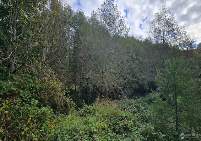 Photo 4 of Land for sale at 1351 Satsop Rd W, Montesano, WA 98563 | MLS# NWM2439752 | Listing updated on 2026-09-22