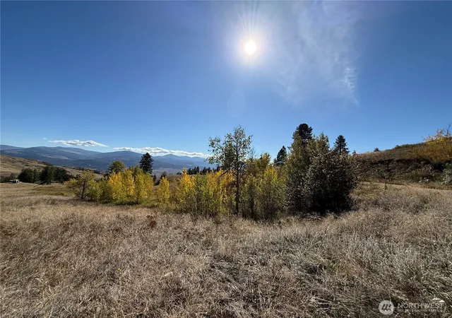 Photo 1 of Land for sale at 0 Honeysuckle Ln, Curlew, WA 99118 | MLS# NWM2440817 | Listing updated on 2026-09-30