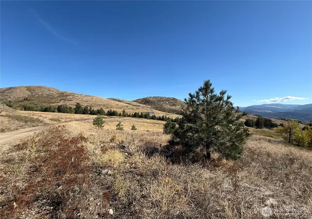 Photo 2 of Land for sale at 0 Honeysuckle Ln, Curlew, WA 99118 | MLS# NWM2440817 | Listing updated on 2026-09-30