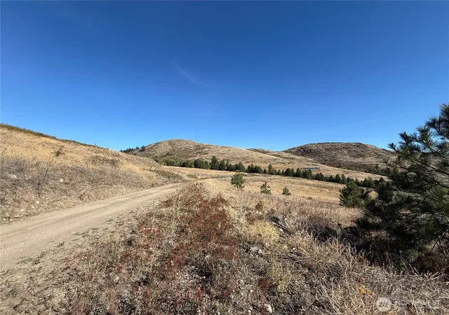 Photo 3 of Land for sale at 0 Honeysuckle Ln, Curlew, WA 99118 | MLS# NWM2440817 | Listing updated on 2026-09-30