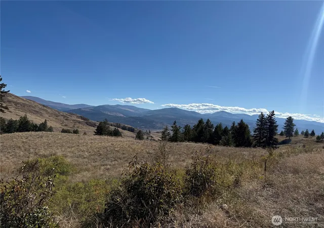 Photo 4 of Land for sale at 0 Honeysuckle Ln, Curlew, WA 99118 | MLS# NWM2440817 | Listing updated on 2026-09-30