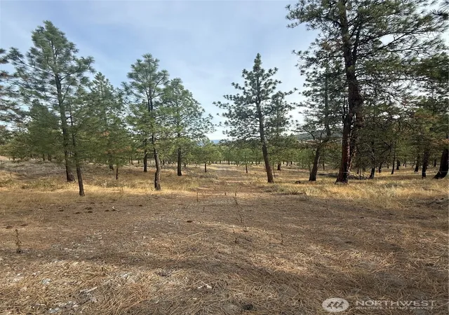Land for sale at 67 W Bannon Crk Rd, Tonasket, WA 98855 | MLS# NWM2440865