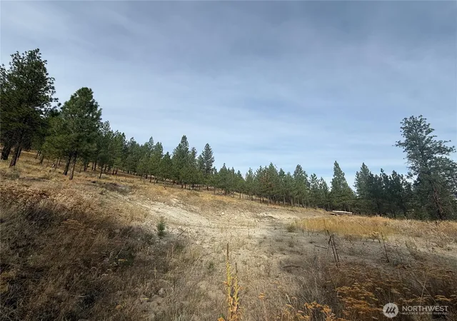 Photo 2 of Land for sale at 67 W Bannon Crk Rd, Tonasket, WA 98855 | MLS# NWM2440865 | Listing updated on 2026-09-17