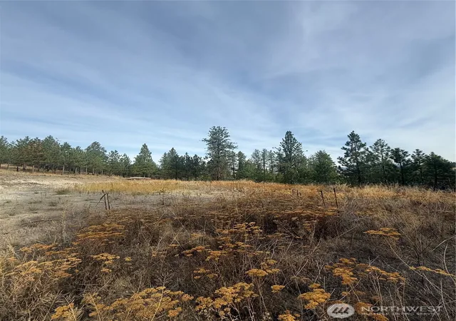 Photo 3 of Land for sale at 67 W Bannon Crk Rd, Tonasket, WA 98855 | MLS# NWM2440865 | Listing updated on 2026-09-17