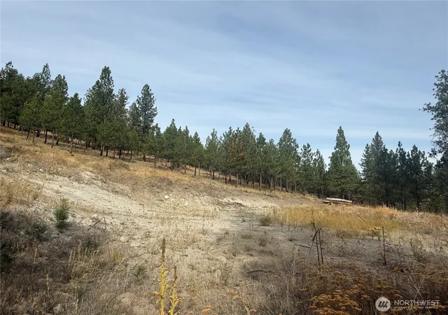 Photo 4 of Land for sale at 67 W Bannon Crk Rd, Tonasket, WA 98855 | MLS# NWM2440865 | Listing updated on 2026-09-17