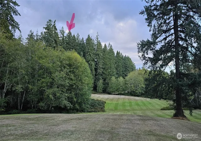 Photo 3 of Land for sale at 10115 Edgewood Dr, Anderson Island, WA 98303 | MLS# NWM2441107 | Listing updated on 2026-09-17